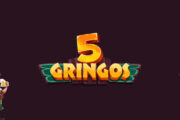 5 Gringos