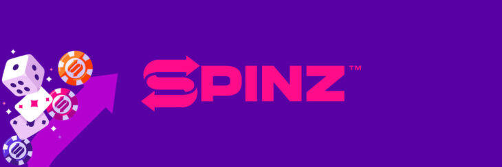 spinz kokemuksia